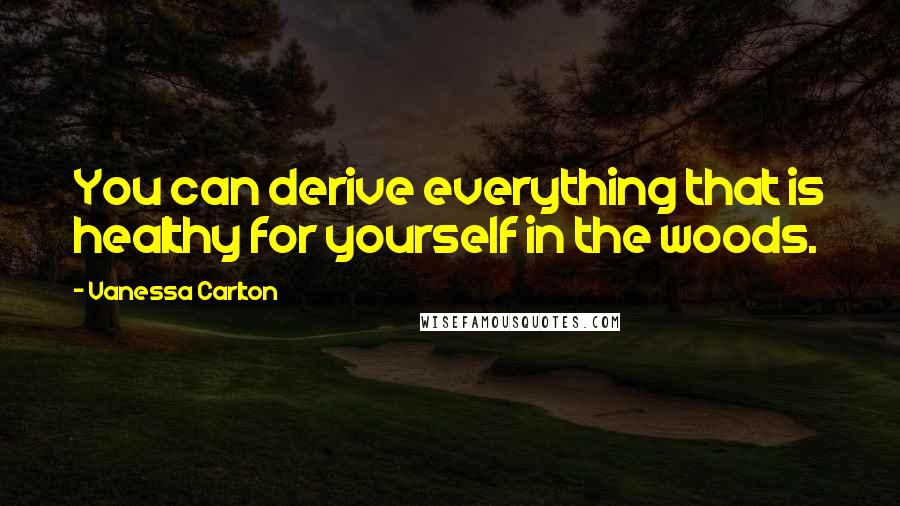 Vanessa Carlton Quotes: You can derive everything that is healthy for yourself in the woods.