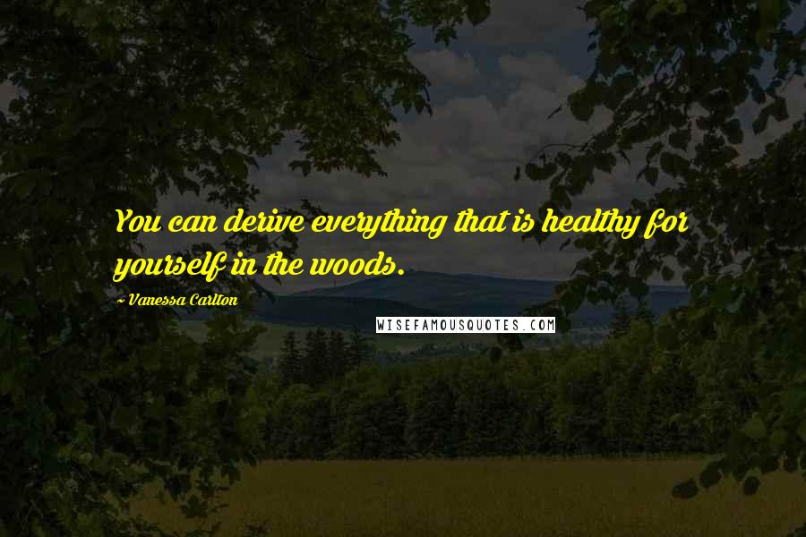 Vanessa Carlton Quotes: You can derive everything that is healthy for yourself in the woods.