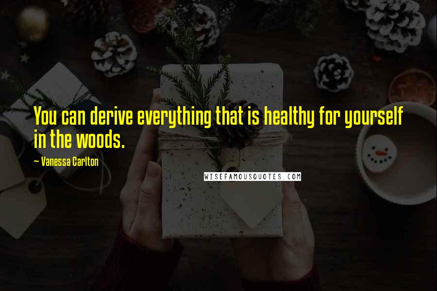 Vanessa Carlton Quotes: You can derive everything that is healthy for yourself in the woods.