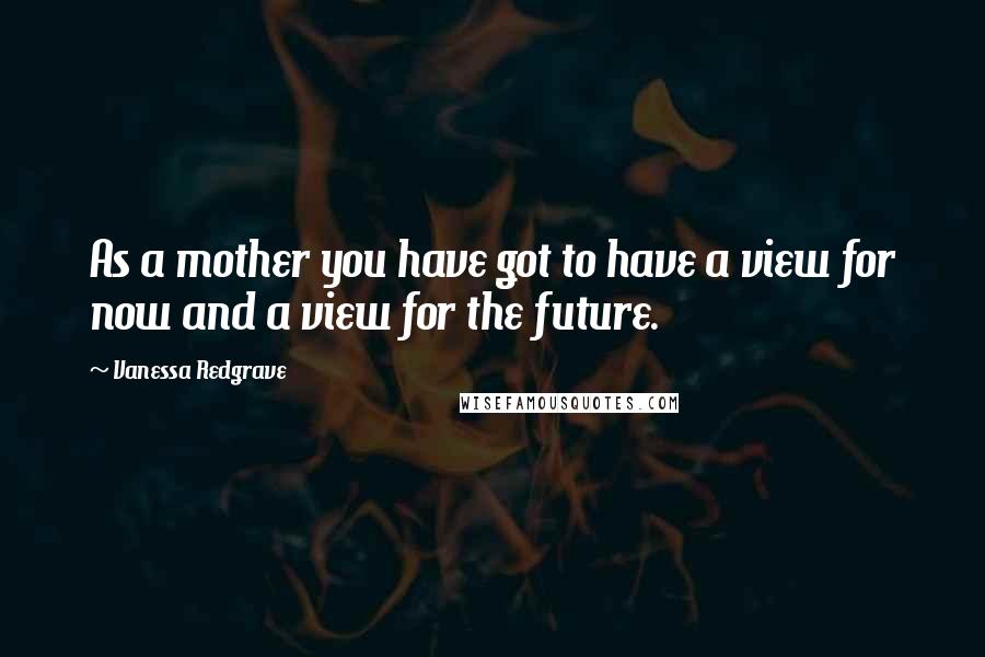 Vanessa Redgrave Quotes: As a mother you have got to have a view for now and a view for the future.
