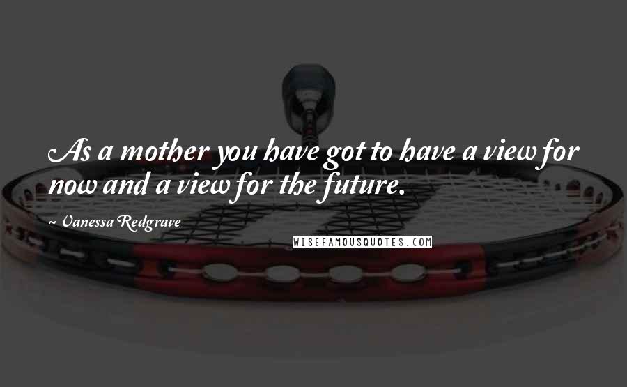 Vanessa Redgrave Quotes: As a mother you have got to have a view for now and a view for the future.
