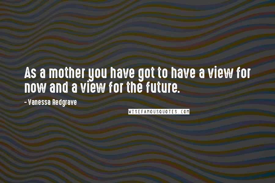 Vanessa Redgrave Quotes: As a mother you have got to have a view for now and a view for the future.
