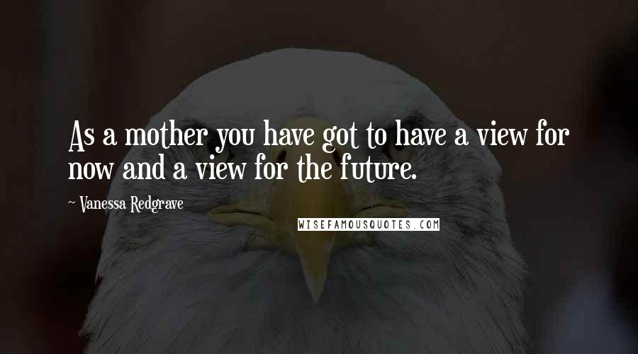 Vanessa Redgrave Quotes: As a mother you have got to have a view for now and a view for the future.