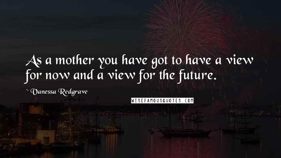 Vanessa Redgrave Quotes: As a mother you have got to have a view for now and a view for the future.