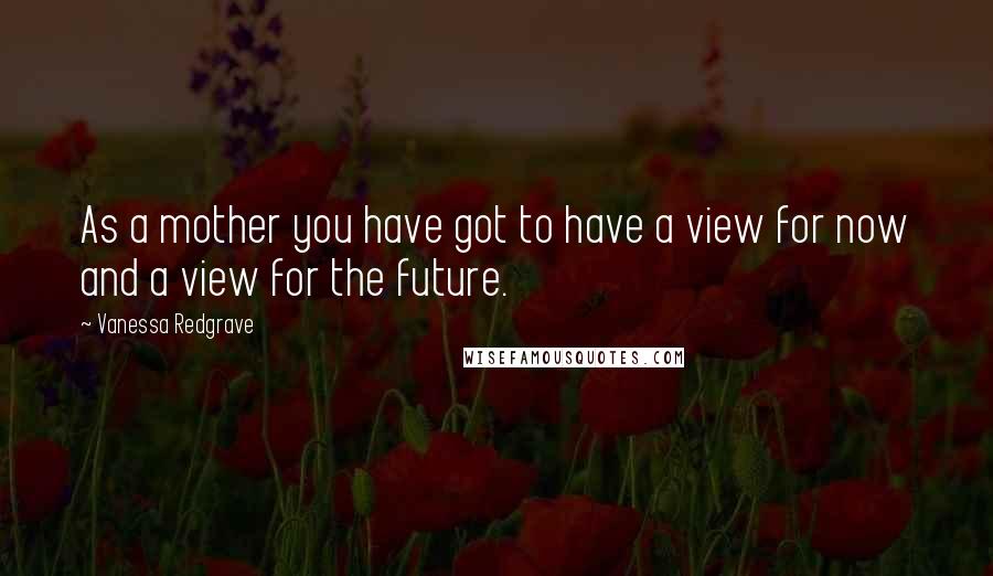 Vanessa Redgrave Quotes: As a mother you have got to have a view for now and a view for the future.