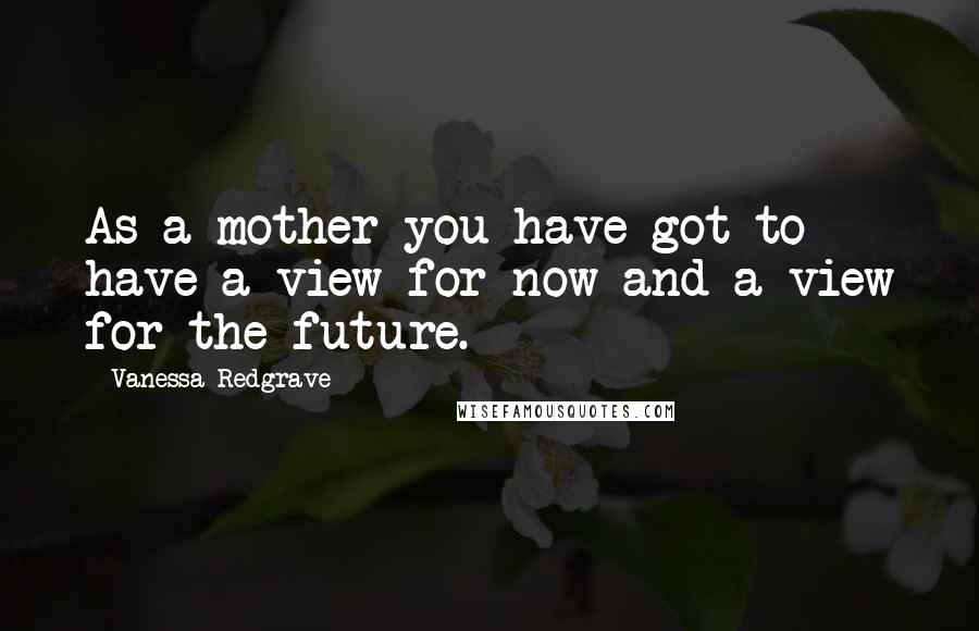 Vanessa Redgrave Quotes: As a mother you have got to have a view for now and a view for the future.