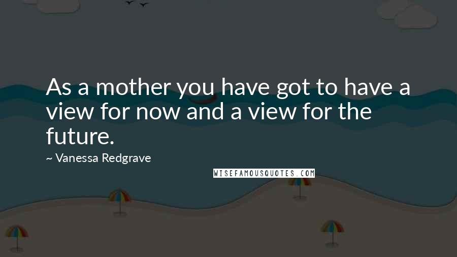 Vanessa Redgrave Quotes: As a mother you have got to have a view for now and a view for the future.