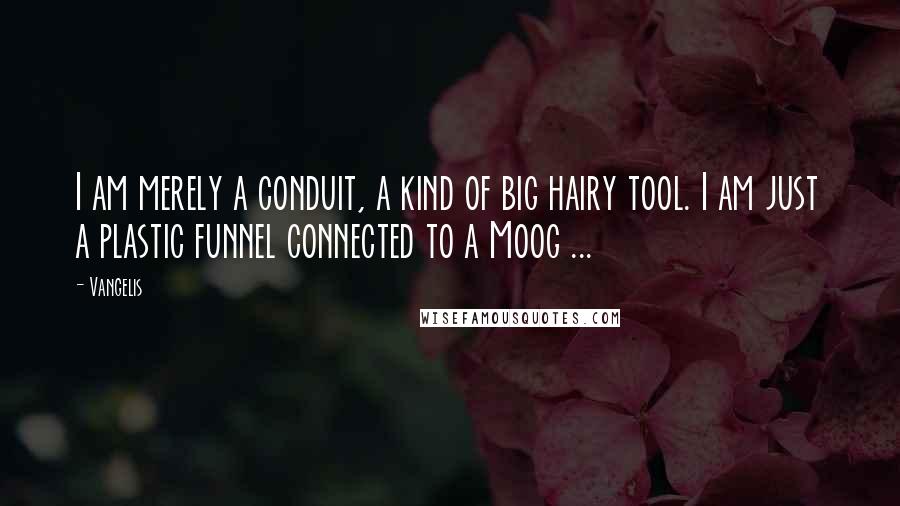 Vangelis Quotes: I am merely a conduit, a kind of big hairy tool. I am just a plastic funnel connected to a Moog ...