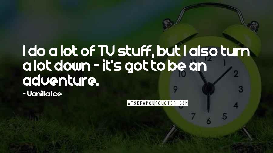 Vanilla Ice Quotes: I do a lot of TV stuff, but I also turn a lot down - it's got to be an adventure.