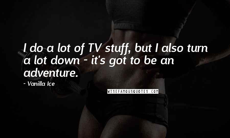 Vanilla Ice Quotes: I do a lot of TV stuff, but I also turn a lot down - it's got to be an adventure.