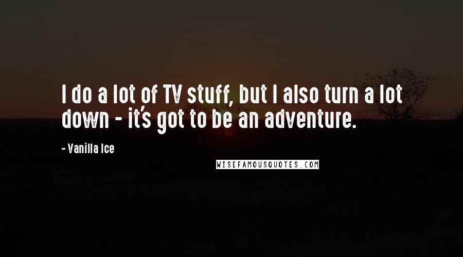 Vanilla Ice Quotes: I do a lot of TV stuff, but I also turn a lot down - it's got to be an adventure.