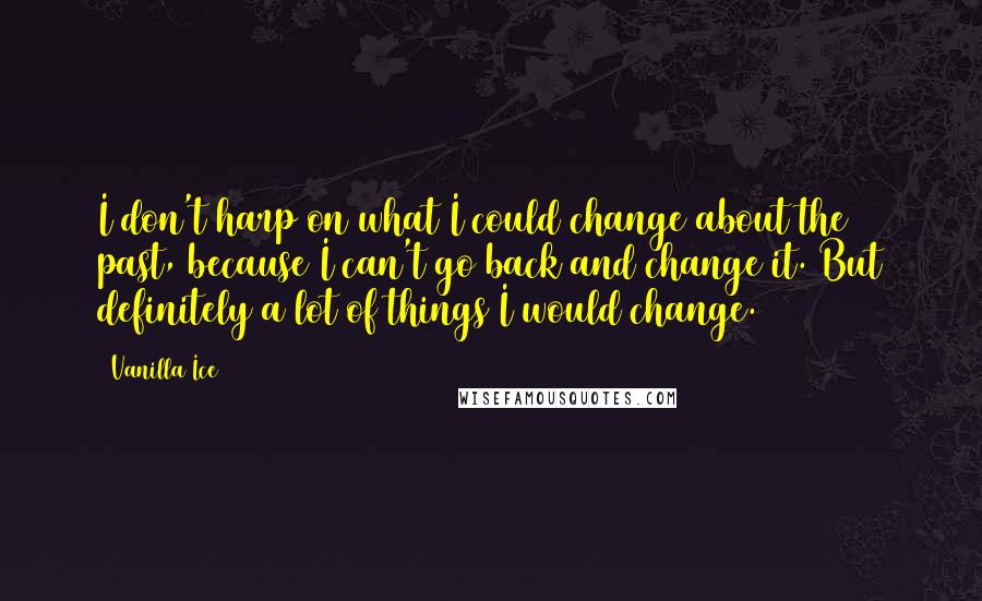 Vanilla Ice Quotes: I don't harp on what I could change about the past, because I can't go back and change it. But definitely a lot of things I would change.