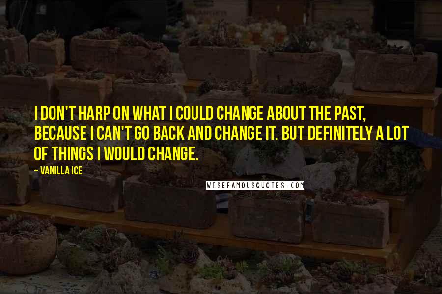 Vanilla Ice Quotes: I don't harp on what I could change about the past, because I can't go back and change it. But definitely a lot of things I would change.