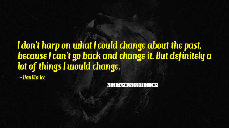 Vanilla Ice Quotes: I don't harp on what I could change about the past, because I can't go back and change it. But definitely a lot of things I would change.