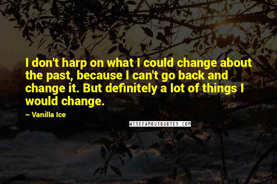 Vanilla Ice Quotes: I don't harp on what I could change about the past, because I can't go back and change it. But definitely a lot of things I would change.