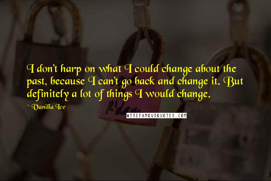 Vanilla Ice Quotes: I don't harp on what I could change about the past, because I can't go back and change it. But definitely a lot of things I would change.