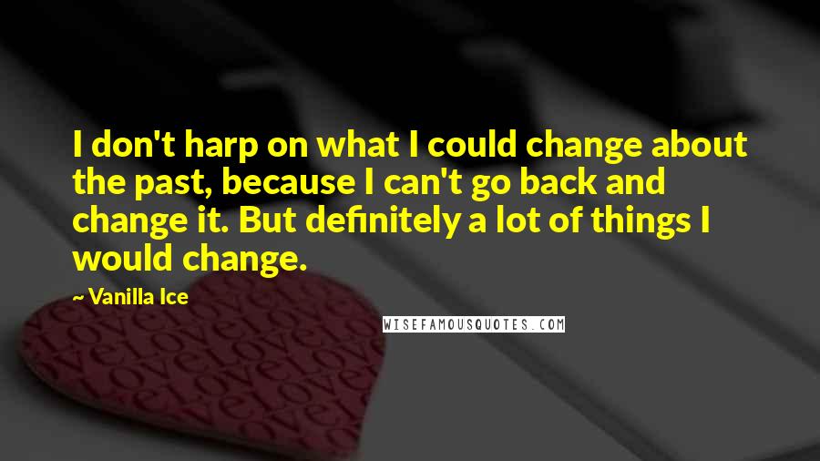 Vanilla Ice Quotes: I don't harp on what I could change about the past, because I can't go back and change it. But definitely a lot of things I would change.