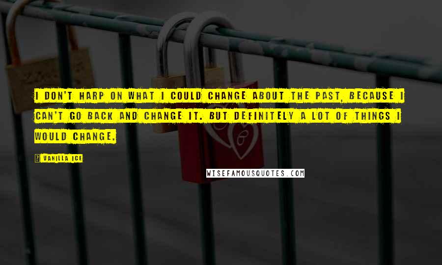 Vanilla Ice Quotes: I don't harp on what I could change about the past, because I can't go back and change it. But definitely a lot of things I would change.