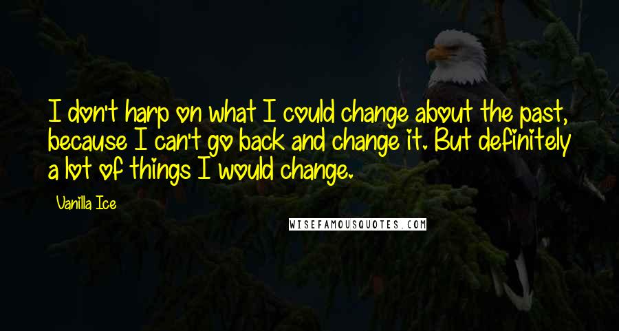 Vanilla Ice Quotes: I don't harp on what I could change about the past, because I can't go back and change it. But definitely a lot of things I would change.