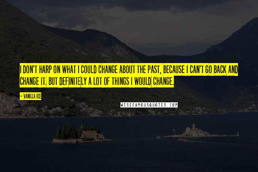 Vanilla Ice Quotes: I don't harp on what I could change about the past, because I can't go back and change it. But definitely a lot of things I would change.