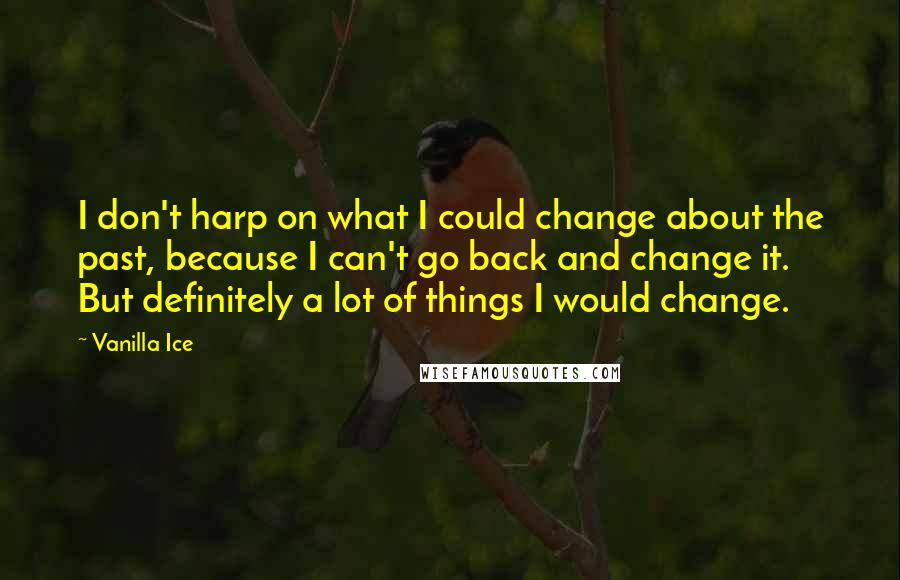 Vanilla Ice Quotes: I don't harp on what I could change about the past, because I can't go back and change it. But definitely a lot of things I would change.