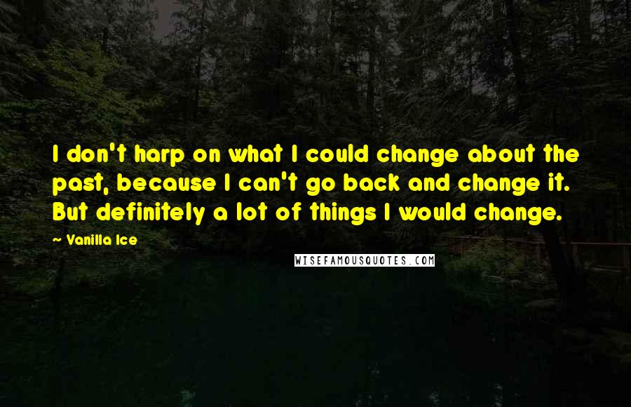 Vanilla Ice Quotes: I don't harp on what I could change about the past, because I can't go back and change it. But definitely a lot of things I would change.