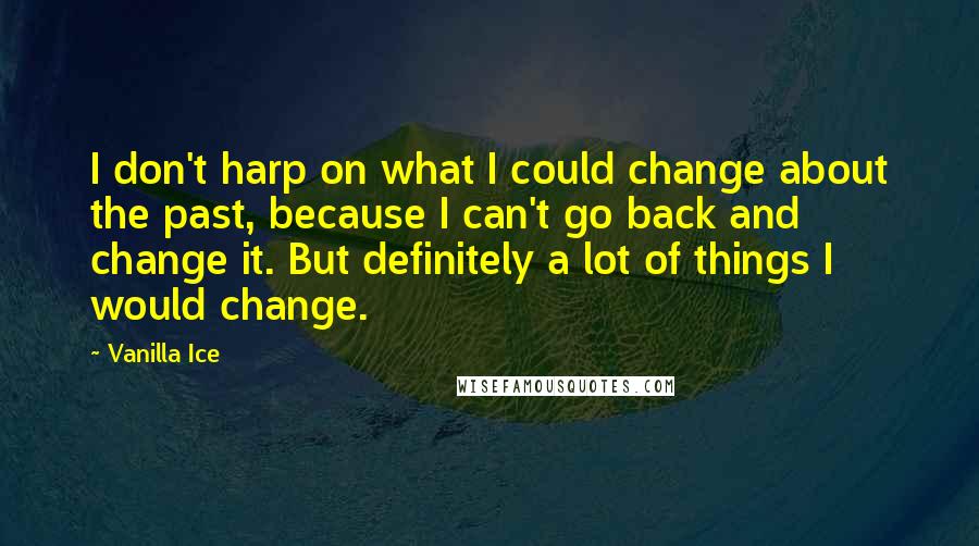 Vanilla Ice Quotes: I don't harp on what I could change about the past, because I can't go back and change it. But definitely a lot of things I would change.