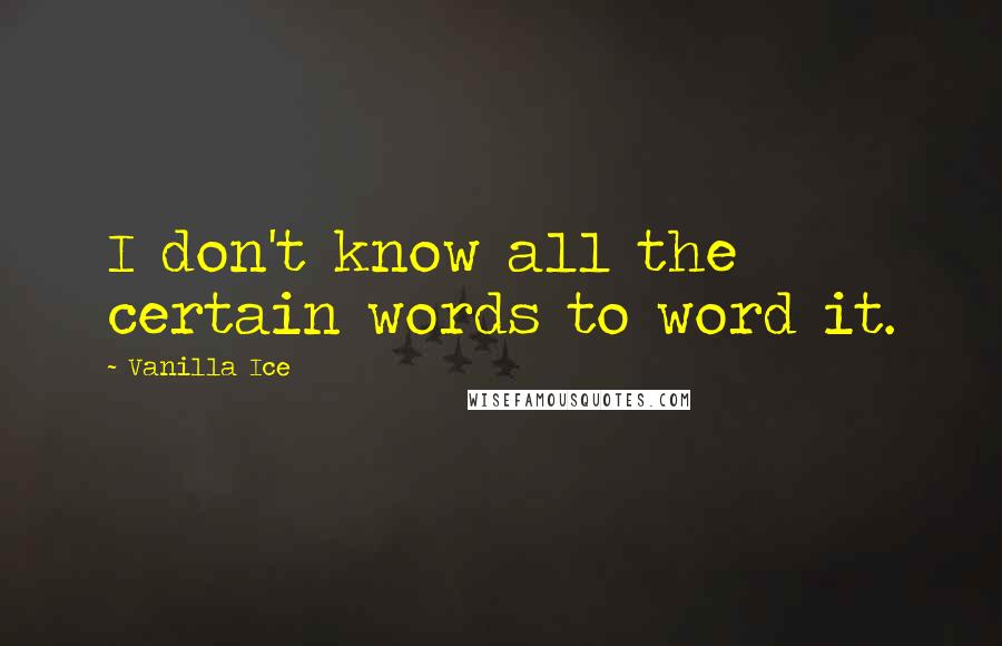 Vanilla Ice Quotes: I don't know all the certain words to word it.