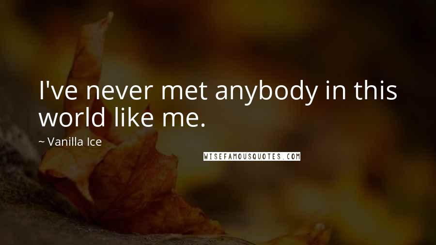 Vanilla Ice Quotes: I've never met anybody in this world like me.