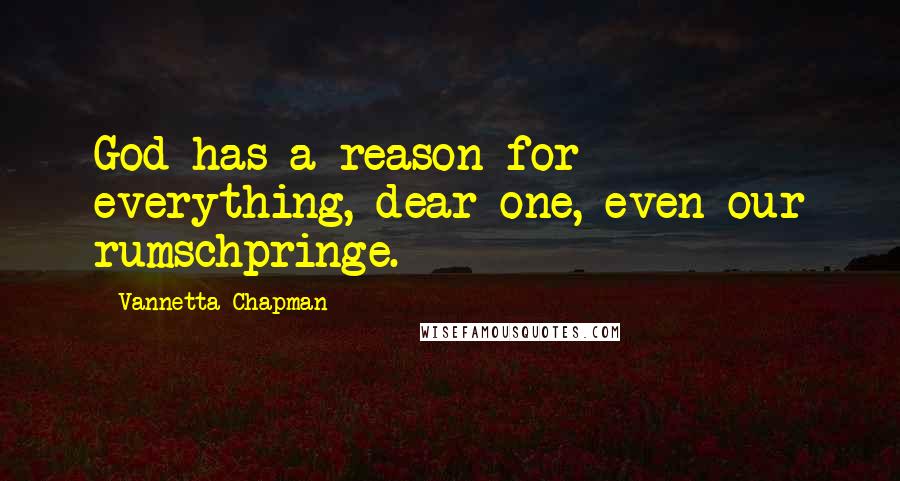 Vannetta Chapman Quotes: God has a reason for everything, dear one, even our rumschpringe.
