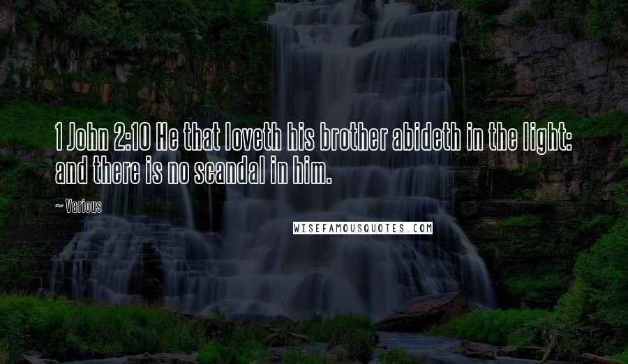 Various Quotes: 1 John 2:10 He that loveth his brother abideth in the light: and there is no scandal in him.