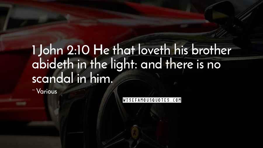 Various Quotes: 1 John 2:10 He that loveth his brother abideth in the light: and there is no scandal in him.