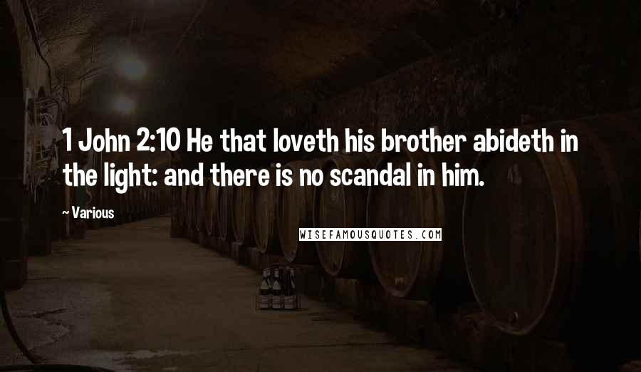 Various Quotes: 1 John 2:10 He that loveth his brother abideth in the light: and there is no scandal in him.