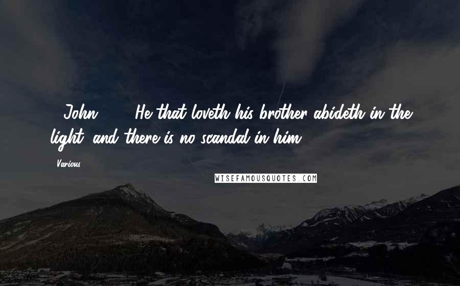 Various Quotes: 1 John 2:10 He that loveth his brother abideth in the light: and there is no scandal in him.