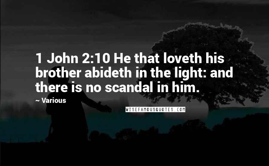 Various Quotes: 1 John 2:10 He that loveth his brother abideth in the light: and there is no scandal in him.