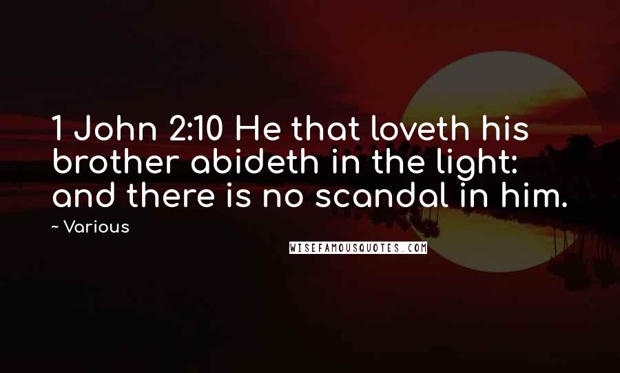 Various Quotes: 1 John 2:10 He that loveth his brother abideth in the light: and there is no scandal in him.
