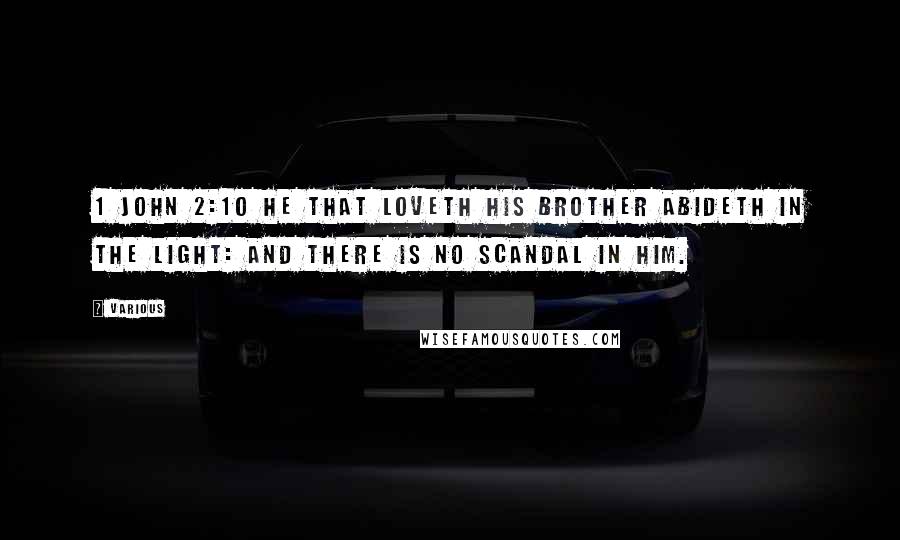 Various Quotes: 1 John 2:10 He that loveth his brother abideth in the light: and there is no scandal in him.
