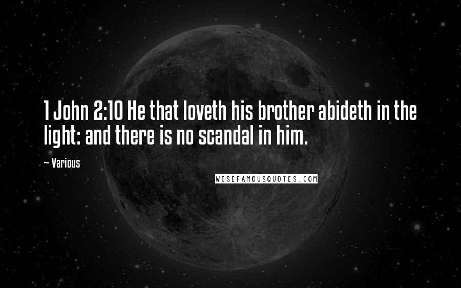 Various Quotes: 1 John 2:10 He that loveth his brother abideth in the light: and there is no scandal in him.