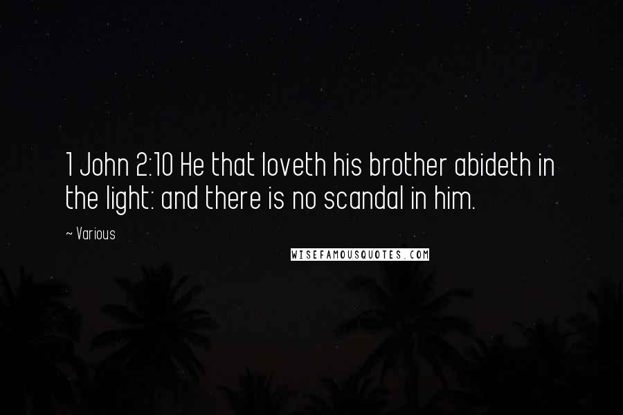 Various Quotes: 1 John 2:10 He that loveth his brother abideth in the light: and there is no scandal in him.