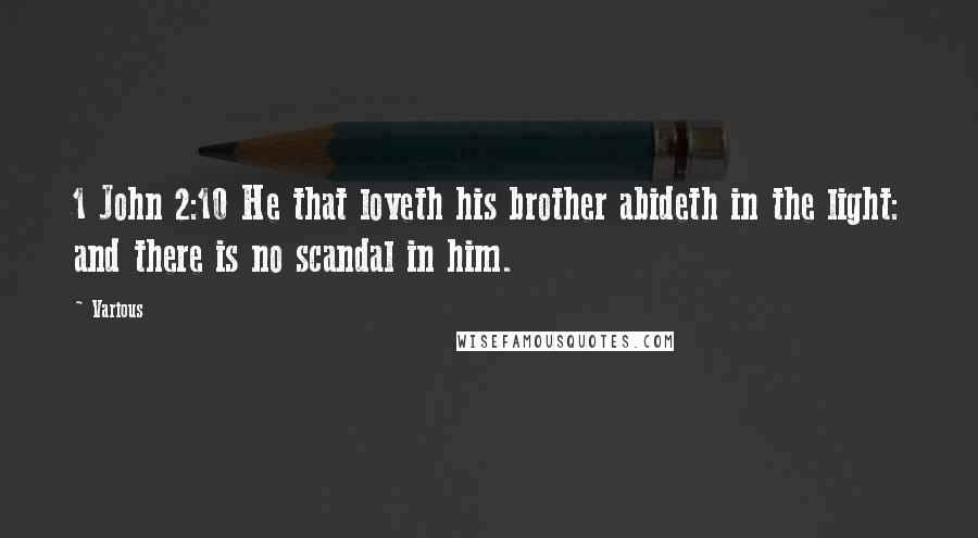 Various Quotes: 1 John 2:10 He that loveth his brother abideth in the light: and there is no scandal in him.