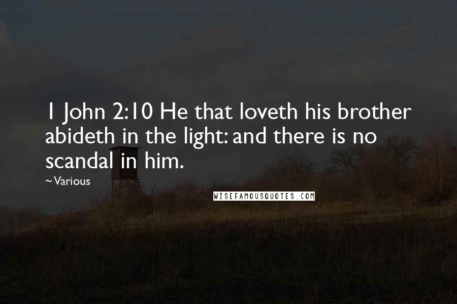 Various Quotes: 1 John 2:10 He that loveth his brother abideth in the light: and there is no scandal in him.
