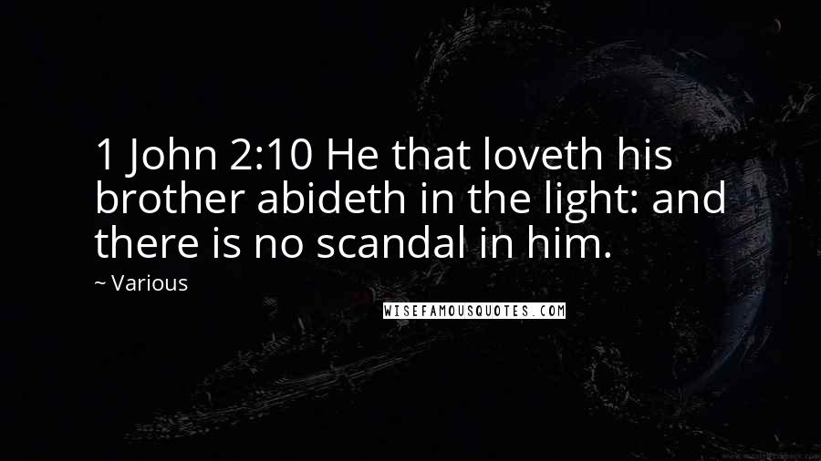 Various Quotes: 1 John 2:10 He that loveth his brother abideth in the light: and there is no scandal in him.