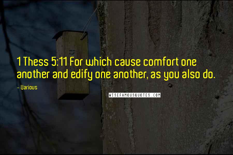 Various Quotes: 1 Thess 5:11 For which cause comfort one another and edify one another, as you also do.