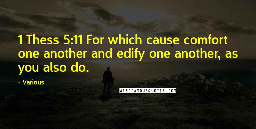 Various Quotes: 1 Thess 5:11 For which cause comfort one another and edify one another, as you also do.