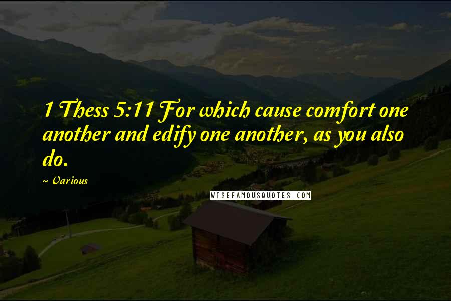 Various Quotes: 1 Thess 5:11 For which cause comfort one another and edify one another, as you also do.