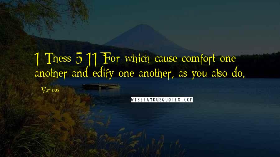 Various Quotes: 1 Thess 5:11 For which cause comfort one another and edify one another, as you also do.