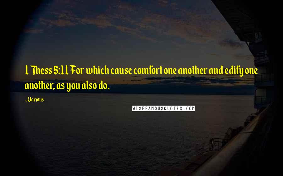 Various Quotes: 1 Thess 5:11 For which cause comfort one another and edify one another, as you also do.