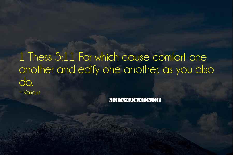 Various Quotes: 1 Thess 5:11 For which cause comfort one another and edify one another, as you also do.