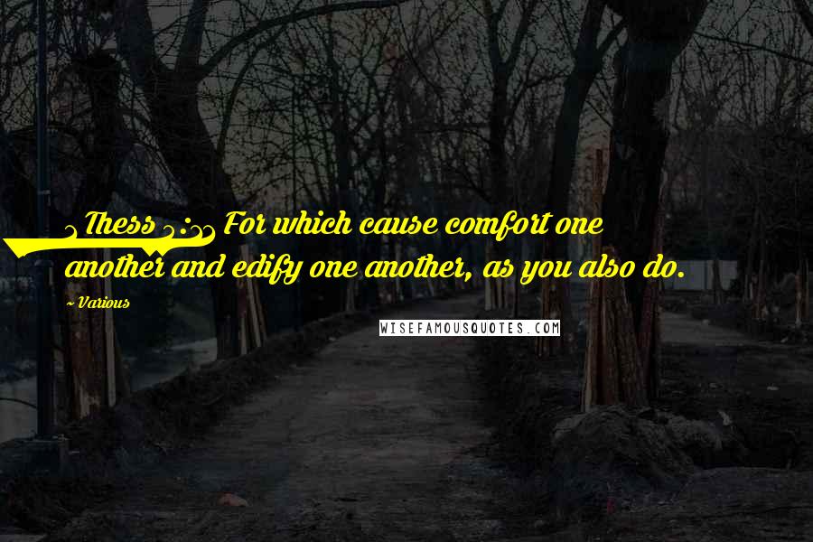 Various Quotes: 1 Thess 5:11 For which cause comfort one another and edify one another, as you also do.