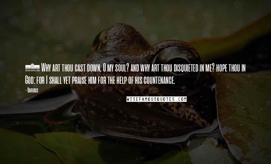 Various Quotes: 5 Why art thou cast down, O my soul? and why art thou disquieted in me? hope thou in God: for I shall yet praise him for the help of his countenance.